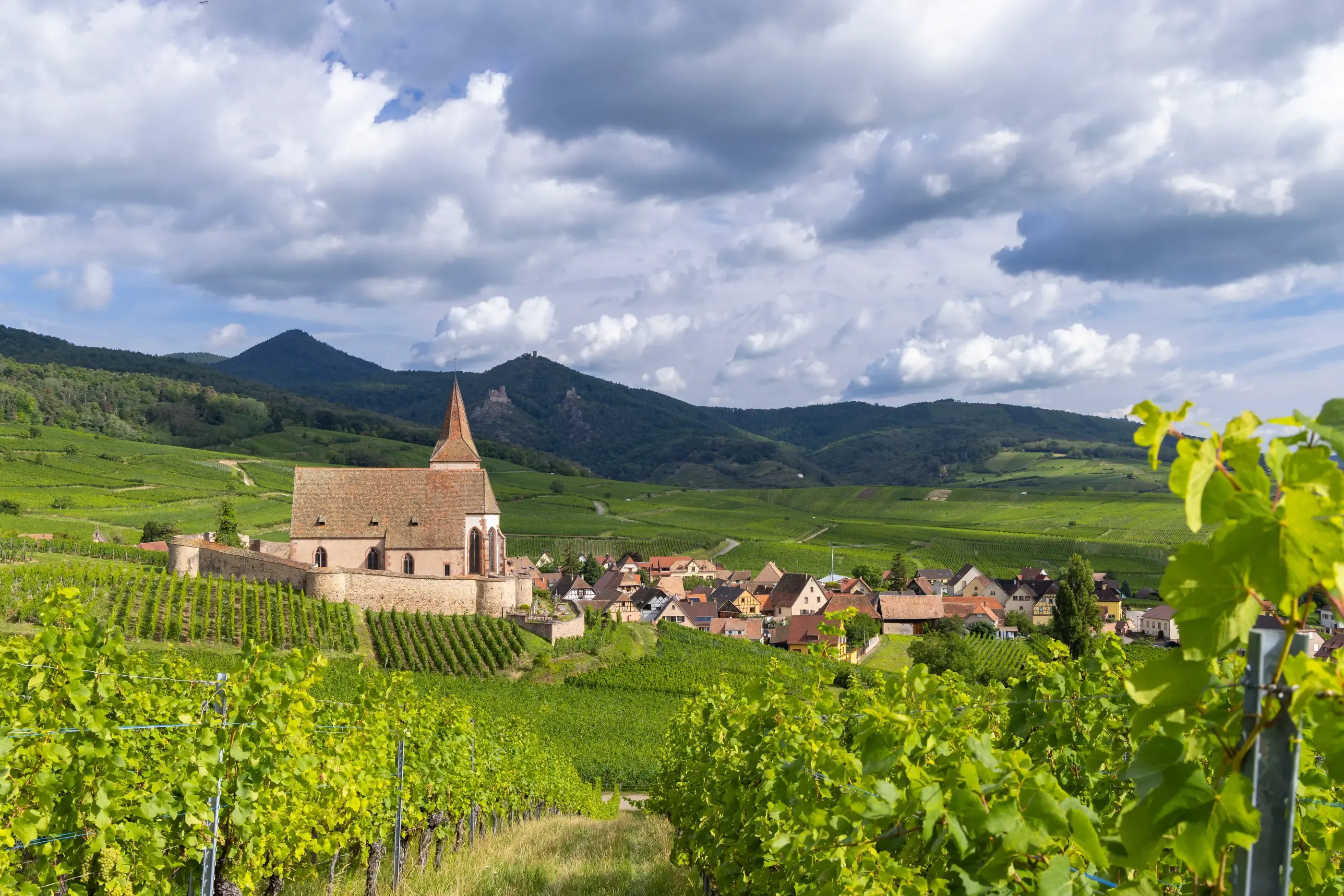 Village avec une église au toit pointu entouré de vignobles et de collines verdoyantes sous un ciel partiellement nuageux